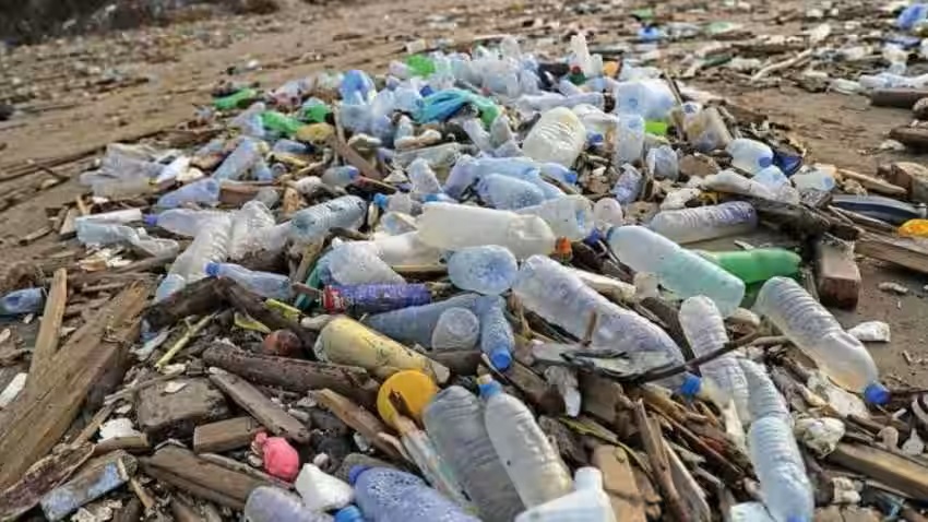 प्लास्टिक कचरे का वैज्ञानिक तरीके से किया जाए निपटान: प्रदूषण नियंत्रण बोर्ड