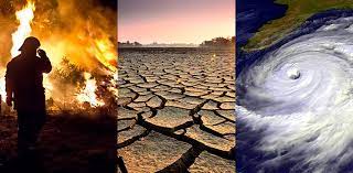 जलवायु परिवर्तन के प्रति संवेदनशीलता